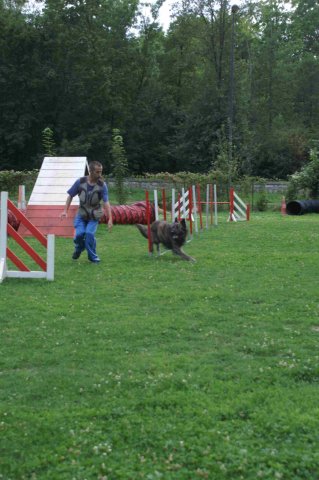 agility 2011-09